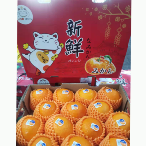 JP Jelly Oranges 14 Pcs